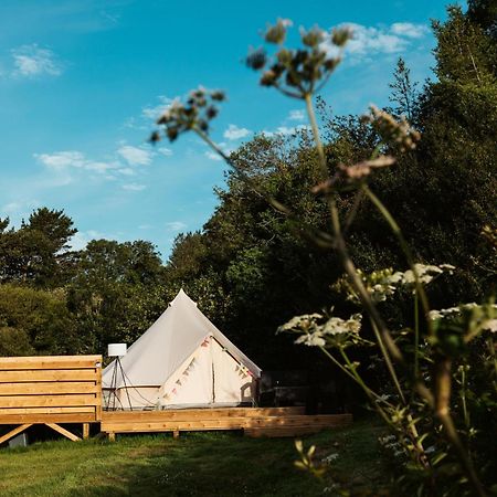Willow Valley Glamping Bude Exterior photo